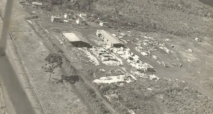 Atuação da Madipê no setor madeireiro em 1977