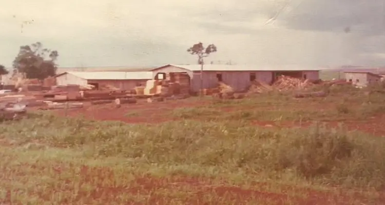 Registro da Madipê em 1979