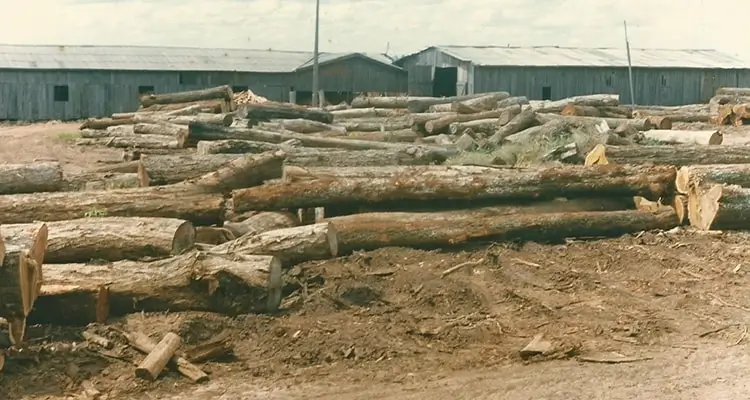 Registro histórico da Madipê em 1982