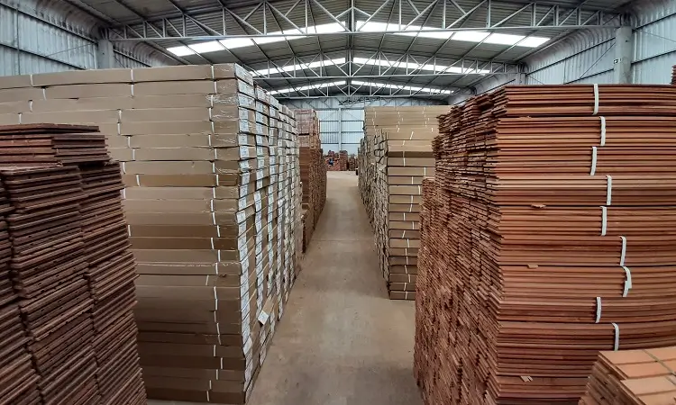 Depósito da Madipê para armazenamento de madeiras