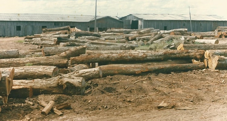 [Foto da empresa em 1982]